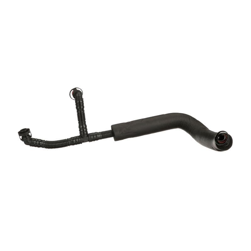 Hose, crankcase ventilation