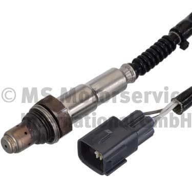 Oxygen Sensor