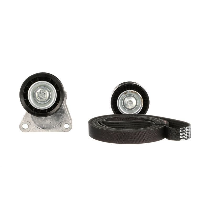 V-snaren set (met rollen) past: FORD GALAXY II, GALAXY MK II, MONDEO IV, S-MAX 2.0/2.0ALK/2.0LPG 05.06-06.15