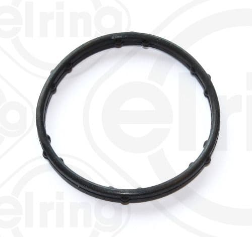 Seal Ring, coolant pipe