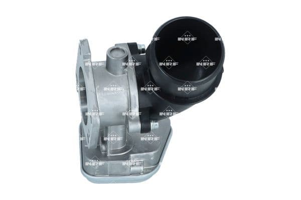 Strangler past: IVECO DAILY IV, MASSIF  CITROEN JUMPER III  FIAT DUCATO  PEUGEOT BOXER 2.3D/3.0CNG/3.0D 04.06-