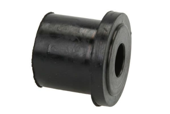 Bush, spring shackle