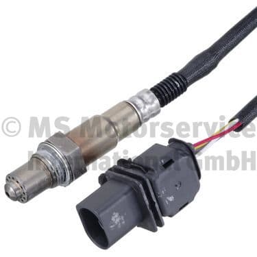 Oxygen Sensor
