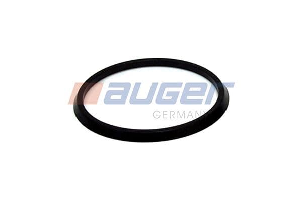 Seal Ring, steering knuckle (leaf spring hanger)