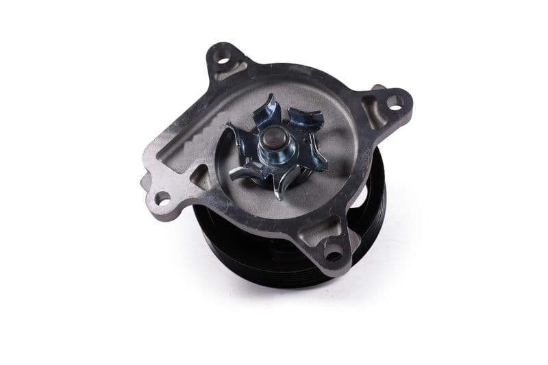 Waterpomp, met pakking past: NISSAN ALTIMA, TEANA III  RENAULT KOLEOS II 2.5 05.12-