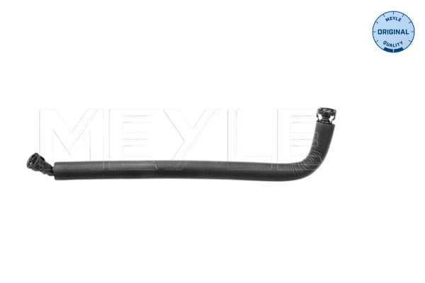 Hose, cylinder head cover ventilation
