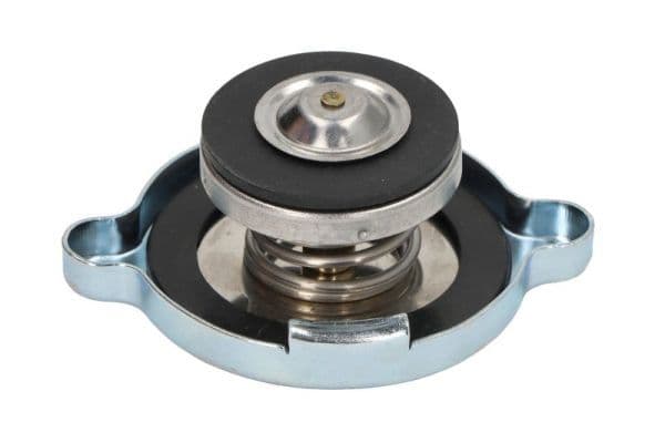 Radiator vuldop past: CASE IH 1046, 1055, 1056, 1194, 1246, 1255, 1294, 1394, 1455, 1494, 1594, 1694, 323, 353, 383, 423, 433, 440, 4140, 523, 533, 540, 633, 640, 644, 645, 724, 733, 740, 743