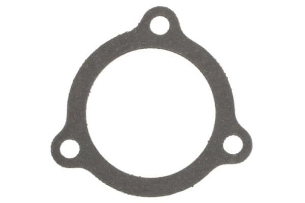 Gasket, thermostat housing
