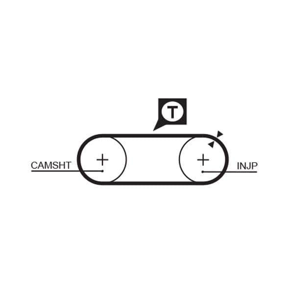Timing belt