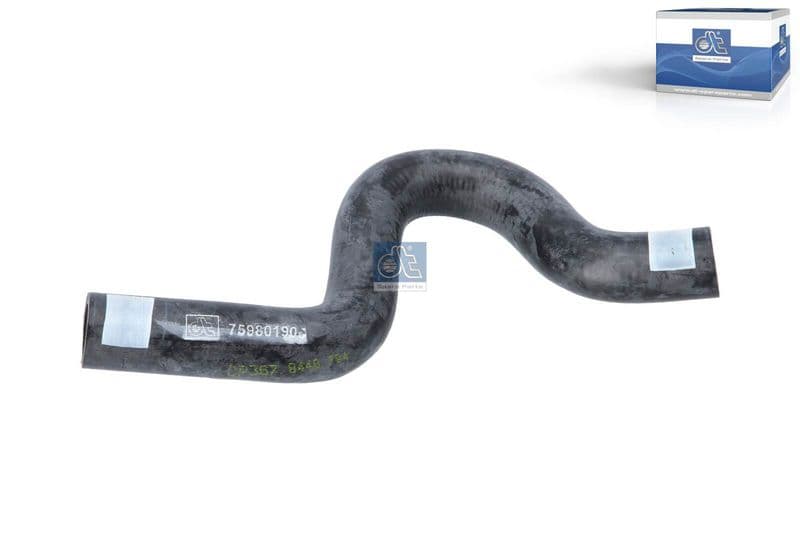 Hose, cylinder head cover ventilation