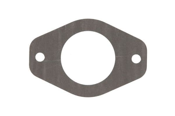 Water pump gasket