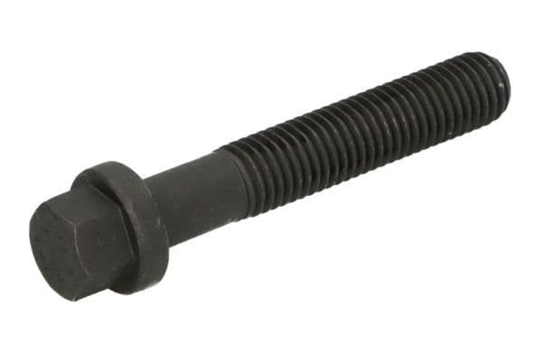 Cylinder head bolt