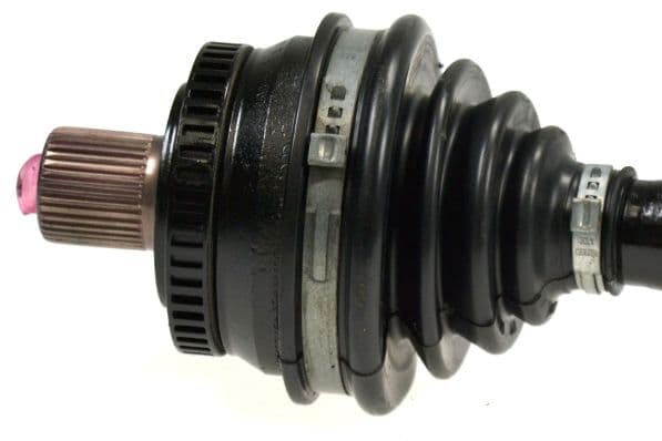 Gas Spring, boot/cargo area