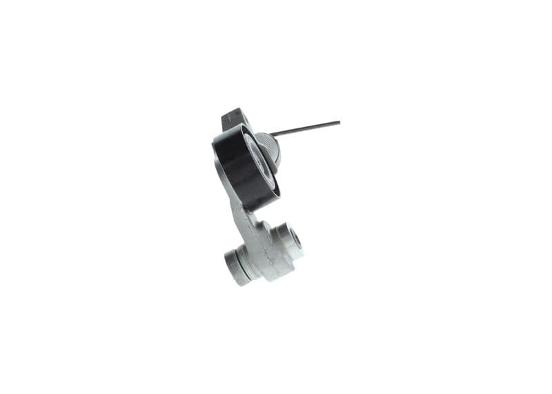 Tensioner Lever, V-ribbed belt