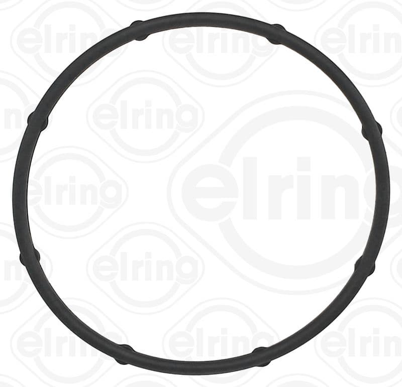 Seal Ring, water pump