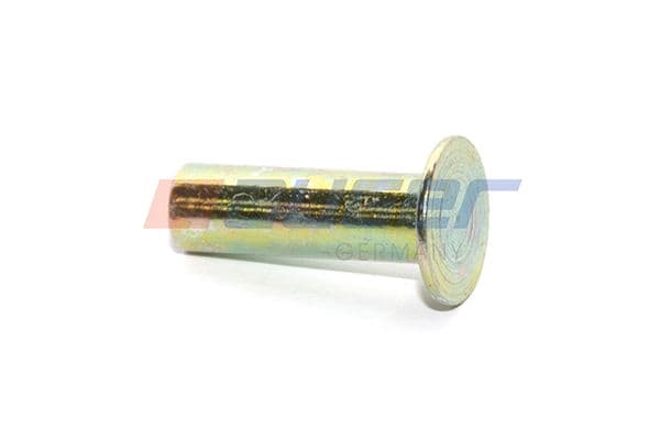 Rivet, drum brake lining