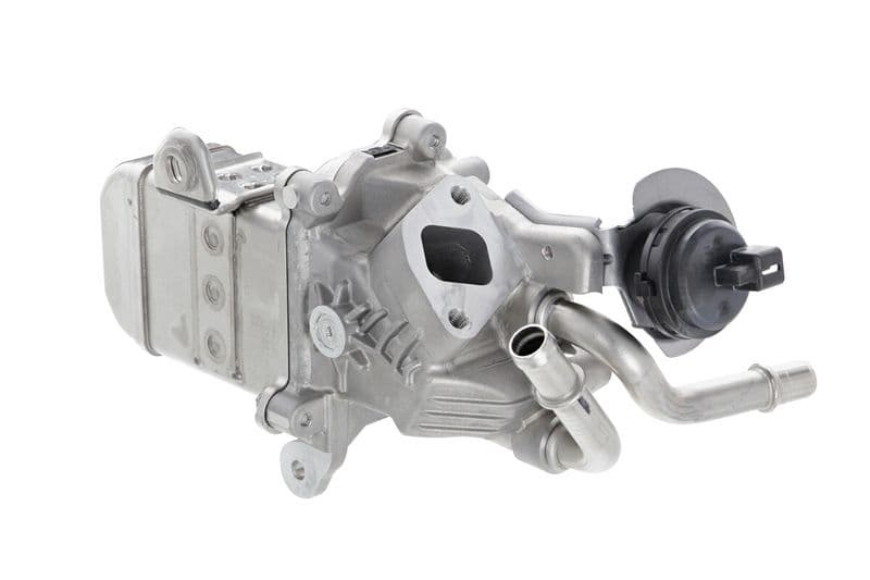 Cooler, exhaust gas recirculation