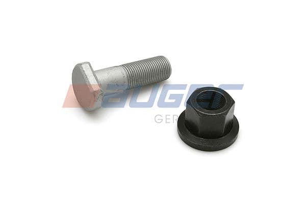 Wheel bolt