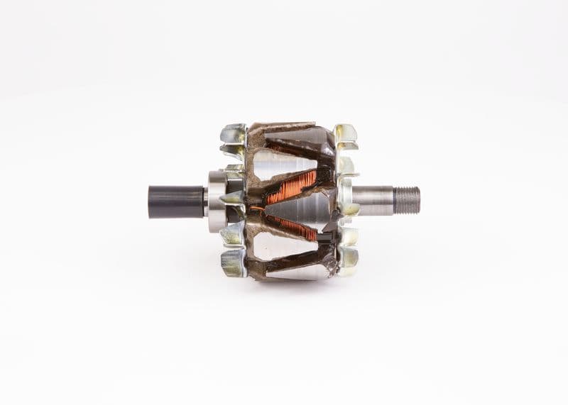 Alternator rotor