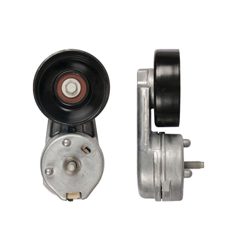 Multi-V riemspanner past: JAGUAR S-TYPE II, XF I, XJ  LAND ROVER DISCOVERY IV, RANGE ROVER SPORT I 2.7D/3.0D 06.04-12.18