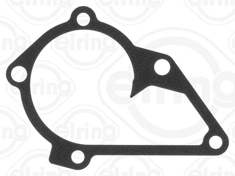 Water pump gasket