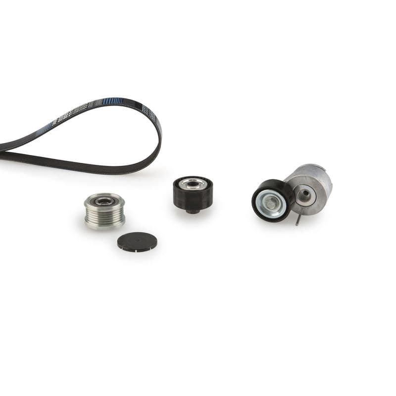 Multi-V-riem (6PK1353)