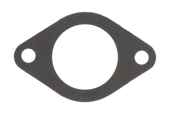 Gasket, thermostat housing