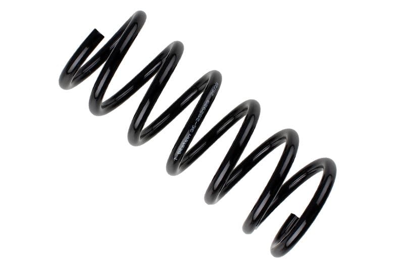 Coil spring