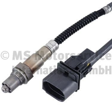 Oxygen Sensor