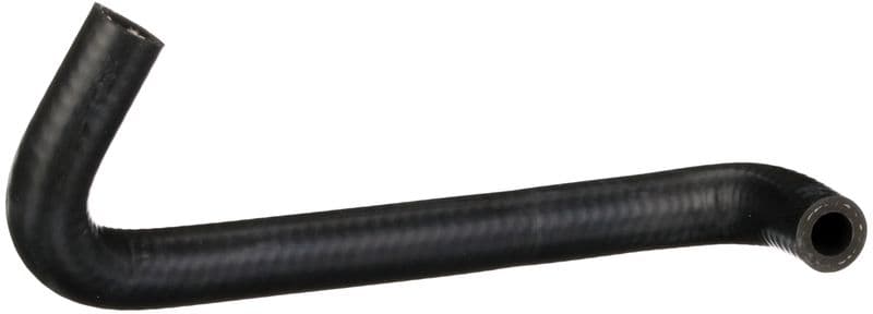 Hose, crankcase ventilation