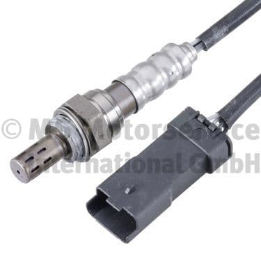 Oxygen Sensor