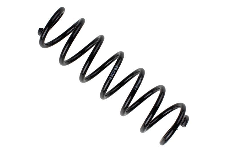 Coil spring