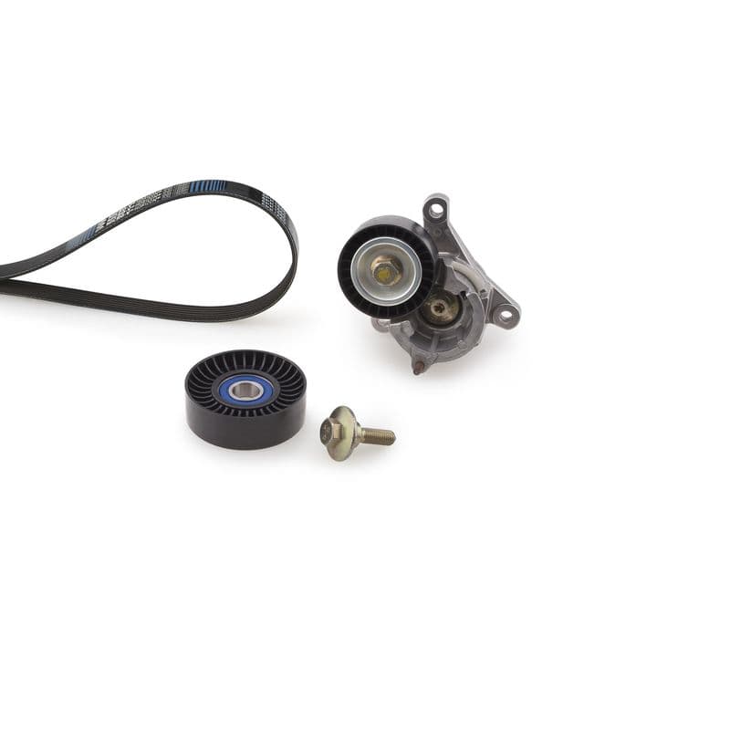 Multi-V-riem (6PK1203)