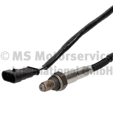 Oxygen Sensor