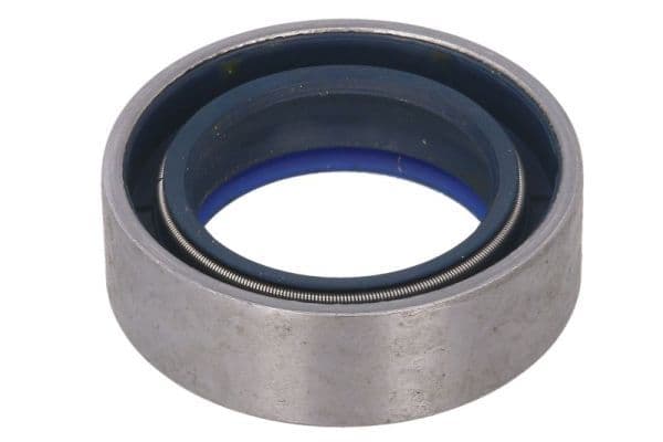 Shaft Seal, drive shaft