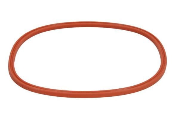 Brandstofpomp elementen (brandstofpomp pakking/afdichting) past: OPEL ASTRA H, ASTRA H GTC, VECTRA C, VECTRA C GTS, ZAFIRA B 1.6-3.2 04.02-04.15