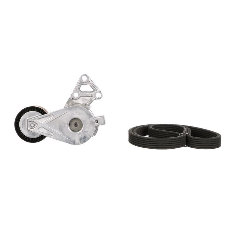 V-snaren set (met rollen) past: AUDI A3  FORD GALAXY I, GALAXY MK I  SEAT ALHAMBRA, LEON, TOLEDO II  SKODA OCTAVIA I  VW BORA, BORA I, CALIFORNIA T5 CAMPER, GOLF IV, MULTIVAN T5 1.9D 03.95-12.10