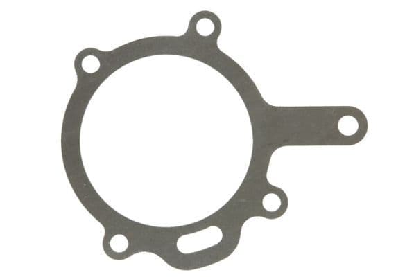 Water pump gasket