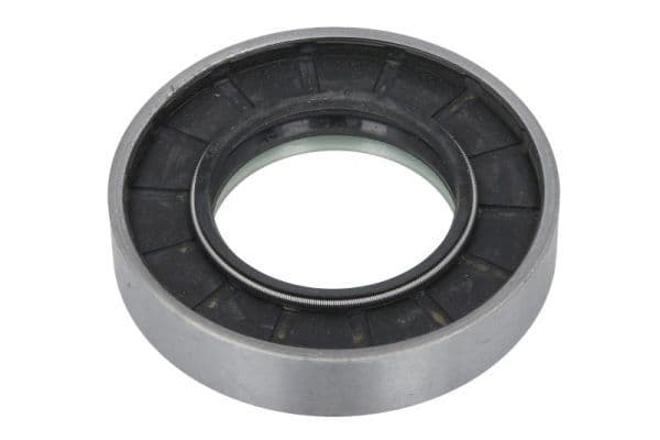 Shaft Seal, drive shaft