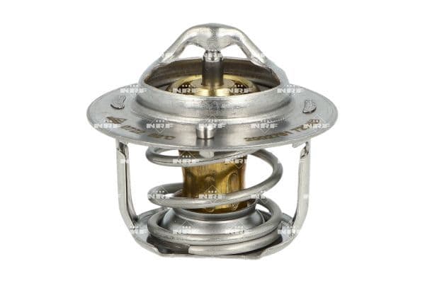 Controlelampje, zijkant Rechts (R10W, met lampvoet) past: IVECO EUROTECH MH, EUROTECH MP, EUROTECH MT 01.92-