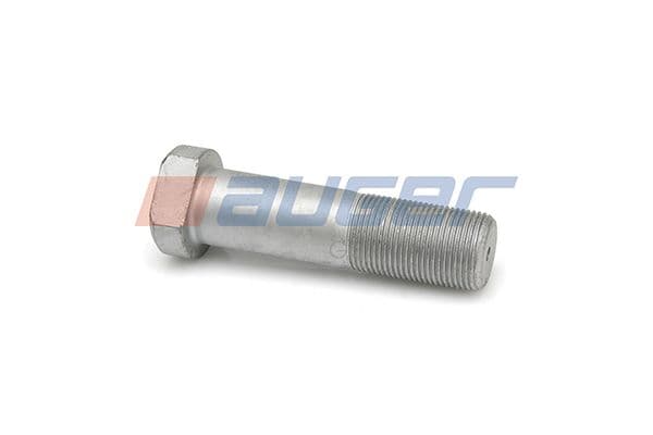 Wheel bolt