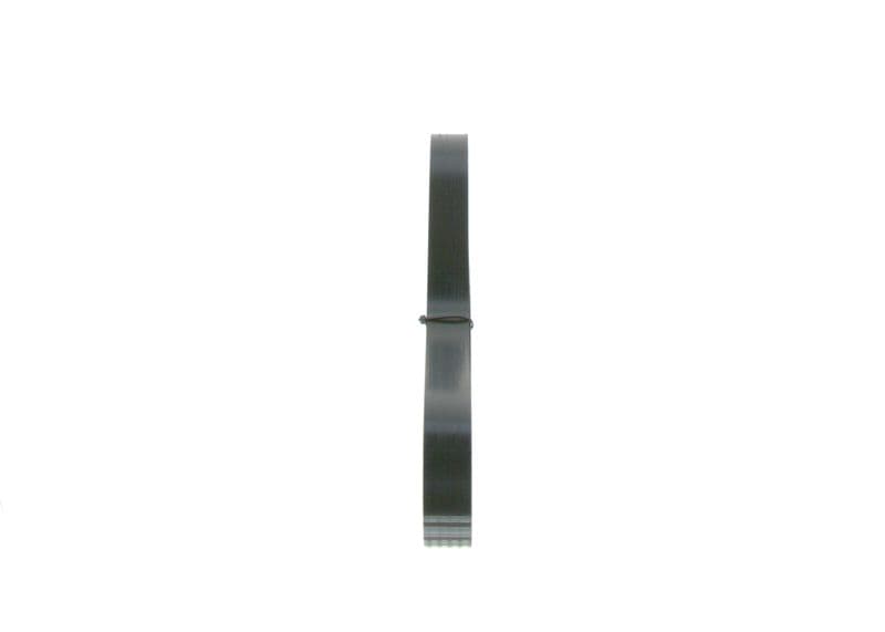 V-ribbed Belt