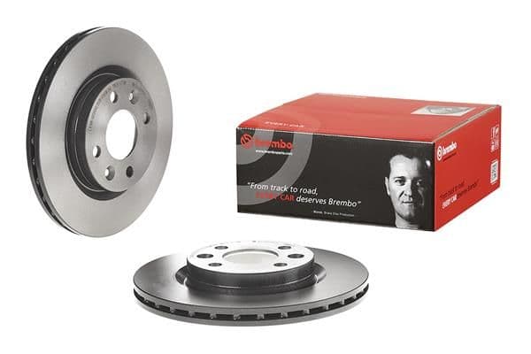 Brake disc Voor Links/Rechts past: DACIA LOGAN, LOGAN EXPRESS, LOGAN II, LOGAN MCV, SANDERO, SANDERO II  LADA LARGUS  NISSAN KUBISTAR  RENAULT 19 I, 19 I CHAMADE, 19 II 1.0-2.0 01.88-