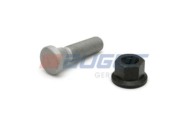 Wheel bolt