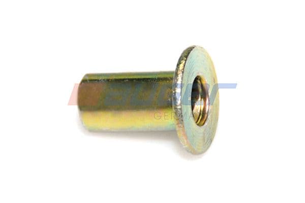 Rivet, drum brake lining