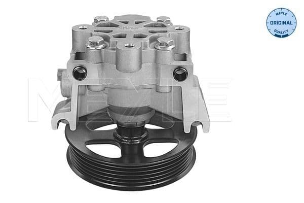 Hydraulische pomp, stuurbekrachtiging (nieuw) past: FORD TOURNEO CONNECT, TRANSIT CONNECT 1.8D 06.02-12.13