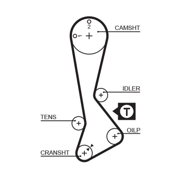 Timing belt
