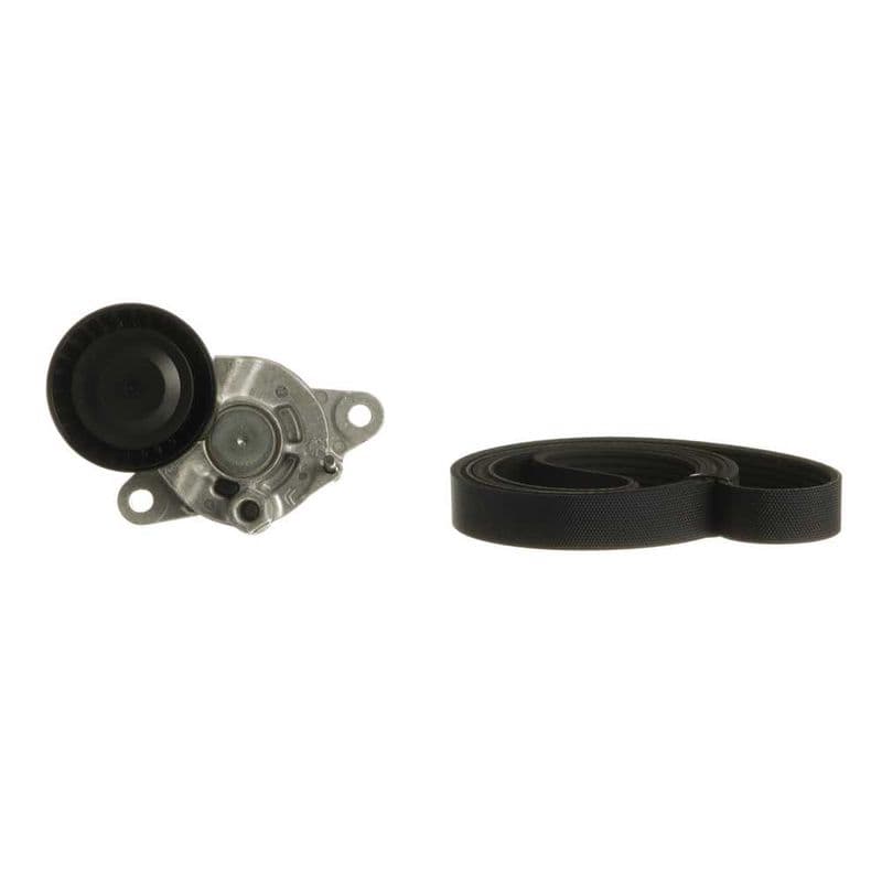 Multi-V-riem (6PK1148)