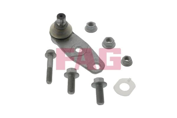 Kogelgewricht van de as Links/Rechts (bodem voor) (diameter kegel 16mm) past: NISSAN KUBISTAR  RENAULT 19 I, 19 I CHAMADE, 19 II, 19 II CHAMADE, 21, CLIO II, KANGOO 1.0-Electric 03.86-