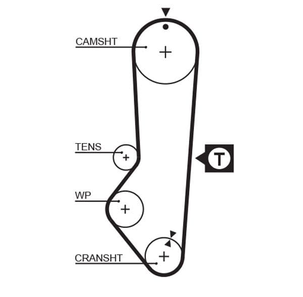 Timing belt